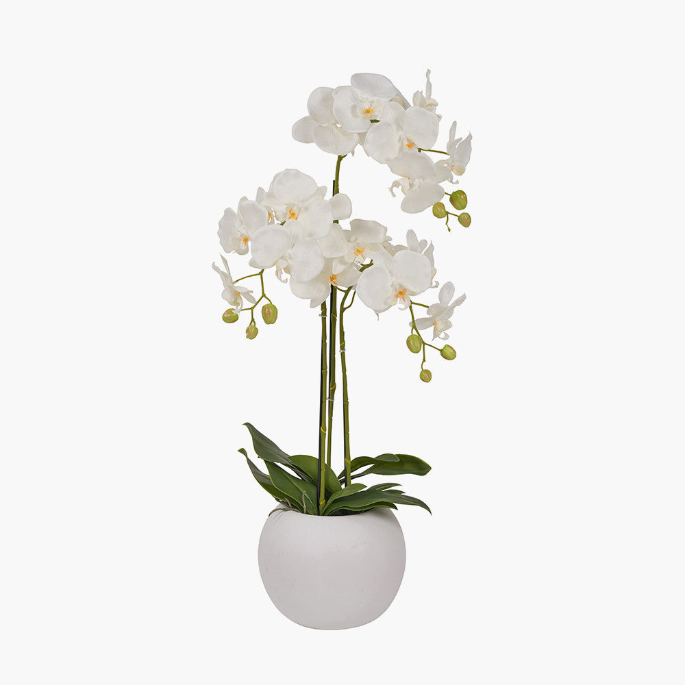 Artificial White Orchid in Pot | Medium